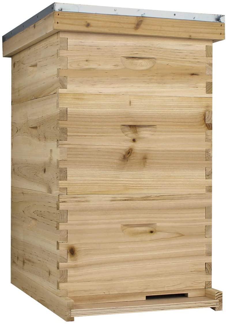 nubee starter 10 frame beehive kit - includes 2 hive bodies, 1 super box, pine frames, wax coated foundations and more