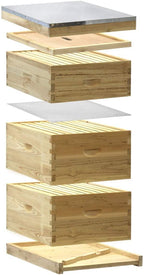 nubee starter 10 frame beehive kit - includes 2 hive bodies, 1 super box, pine frames, wax coated foundations and more