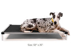 K9 Ballistics Chew Proof Elevated Dog Bed, Chew Resistant Indestructible Dog Cot, Large, Medium, Small Sizes for Indoor or Outdoor Dogs Who Chew Their Beds, Waterproof with Aluminum Frame