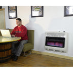 30000 BTU Vent Blue Flame Natural Gas Heater