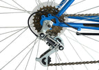 Pioneer 18-Speed Steel Men's Mountain Bicycle, Blue