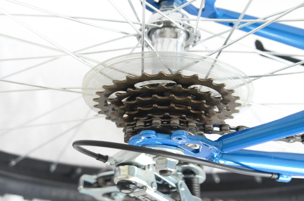 Pioneer 18-Speed Steel Men's Mountain Bicycle, Blue