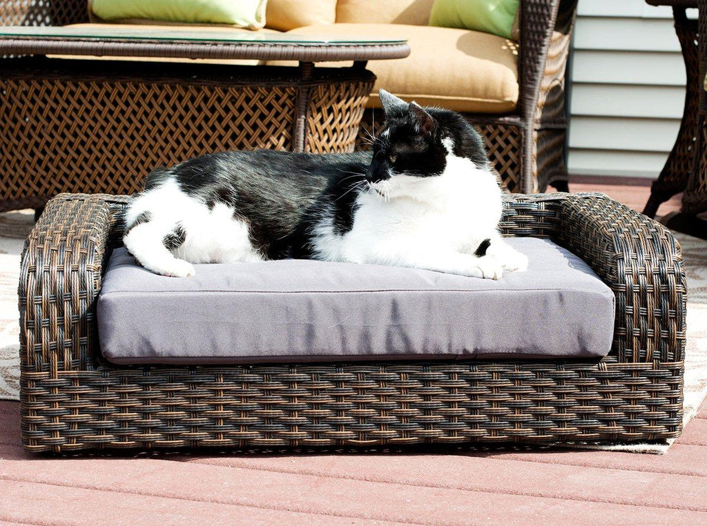 Iconic Pet Rattan/Wicker Pet Sofa Bed - Sofa Made of Woven Palm Stems of Rattan with Metal Frame, Indoor/Outdoor Sofa and Water Resistant Cushion Cover, Elegant Pet Bed for Dogs/Cats up to 50 lbs