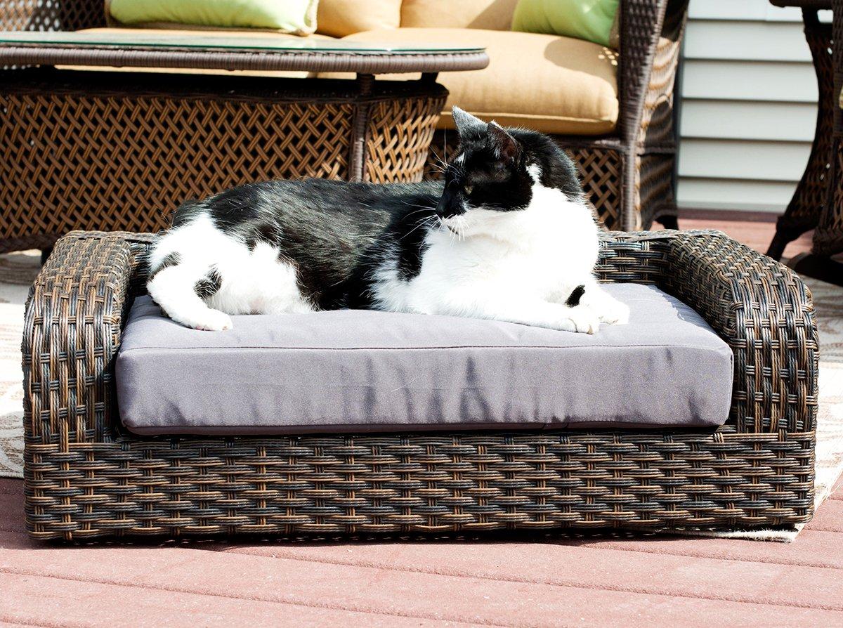 Iconic Pet Rattan/Wicker Pet Sofa Bed - Sofa Made of Woven Palm Stems of Rattan with Metal Frame, Indoor/Outdoor Sofa and Water Resistant Cushion Cover, Elegant Pet Bed for Dogs/Cats up to 50 lbs