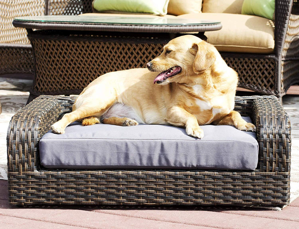 Iconic Pet Rattan/Wicker Pet Sofa Bed - Sofa Made of Woven Palm Stems of Rattan with Metal Frame, Indoor/Outdoor Sofa and Water Resistant Cushion Cover, Elegant Pet Bed for Dogs/Cats up to 50 lbs
