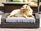 Iconic Pet Rattan/Wicker Pet Sofa Bed - Sofa Made of Woven Palm Stems of Rattan with Metal Frame, Indoor/Outdoor Sofa and Water Resistant Cushion Cover, Elegant Pet Bed for Dogs/Cats up to 50 lbs