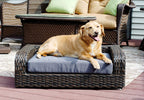 Iconic Pet Rattan/Wicker Pet Sofa Bed - Sofa Made of Woven Palm Stems of Rattan with Metal Frame, Indoor/Outdoor Sofa and Water Resistant Cushion Cover, Elegant Pet Bed for Dogs/Cats up to 50 lbs