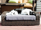 Iconic Pet Rattan/Wicker Pet Sofa Bed - Sofa Made of Woven Palm Stems of Rattan with Metal Frame, Indoor/Outdoor Sofa and Water Resistant Cushion Cover, Elegant Pet Bed for Dogs/Cats up to 50 lbs