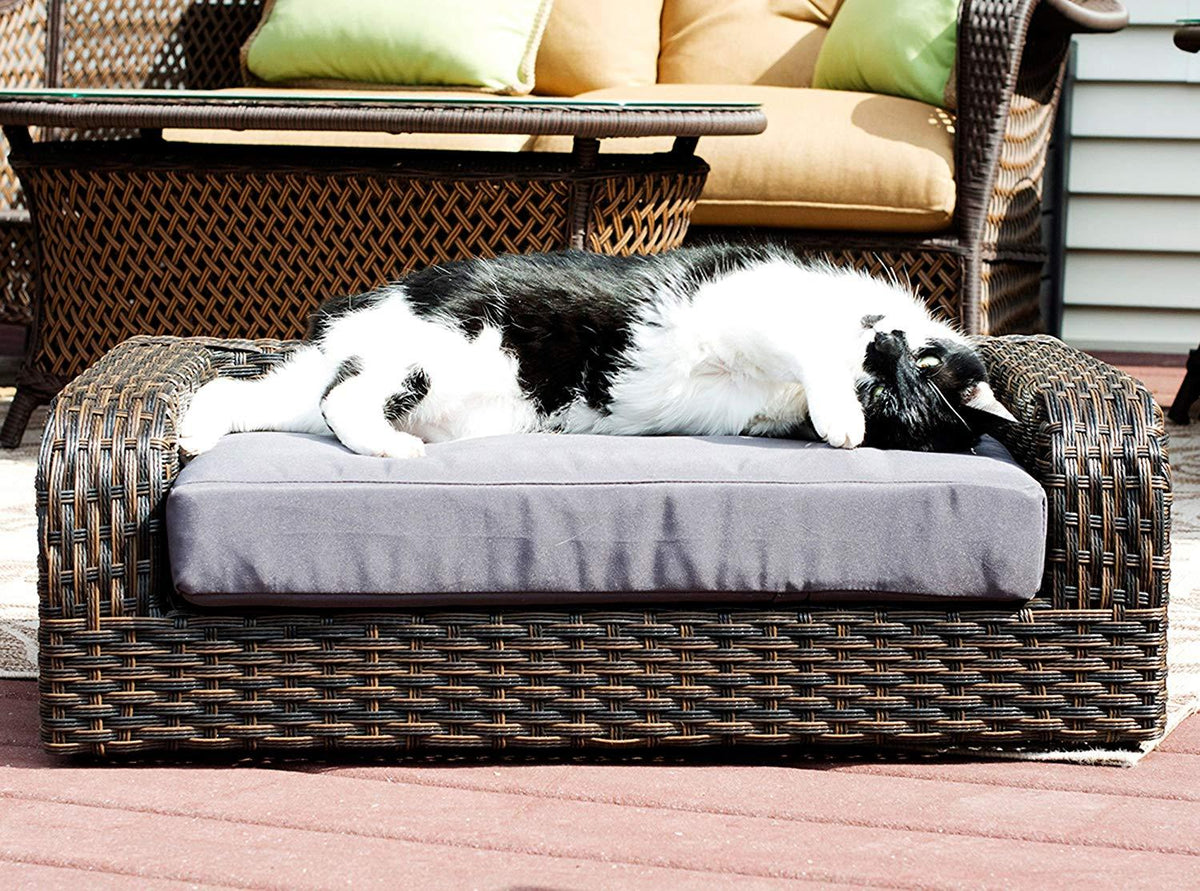 Iconic Pet Rattan/Wicker Pet Sofa Bed - Sofa Made of Woven Palm Stems of Rattan with Metal Frame, Indoor/Outdoor Sofa and Water Resistant Cushion Cover, Elegant Pet Bed for Dogs/Cats up to 50 lbs