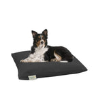 NaturoPet Natural Orthopedic Dog Bed, Premium Organic Cotton &amp; Virgin Wool Soft Cushion Pet Mattress Removable Washable Cover Indoor Durable Chew Resistant Made in USA
