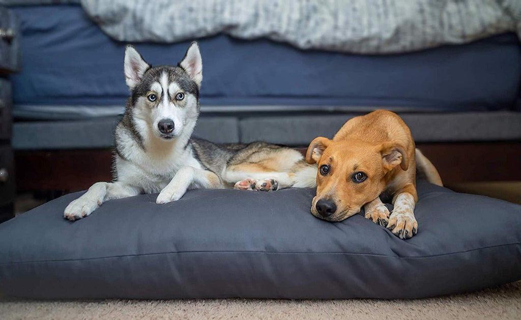 NaturoPet Natural Orthopedic Dog Bed, Premium Organic Cotton &amp; Virgin Wool Soft Cushion Pet Mattress Removable Washable Cover Indoor Durable Chew Resistant Made in USA