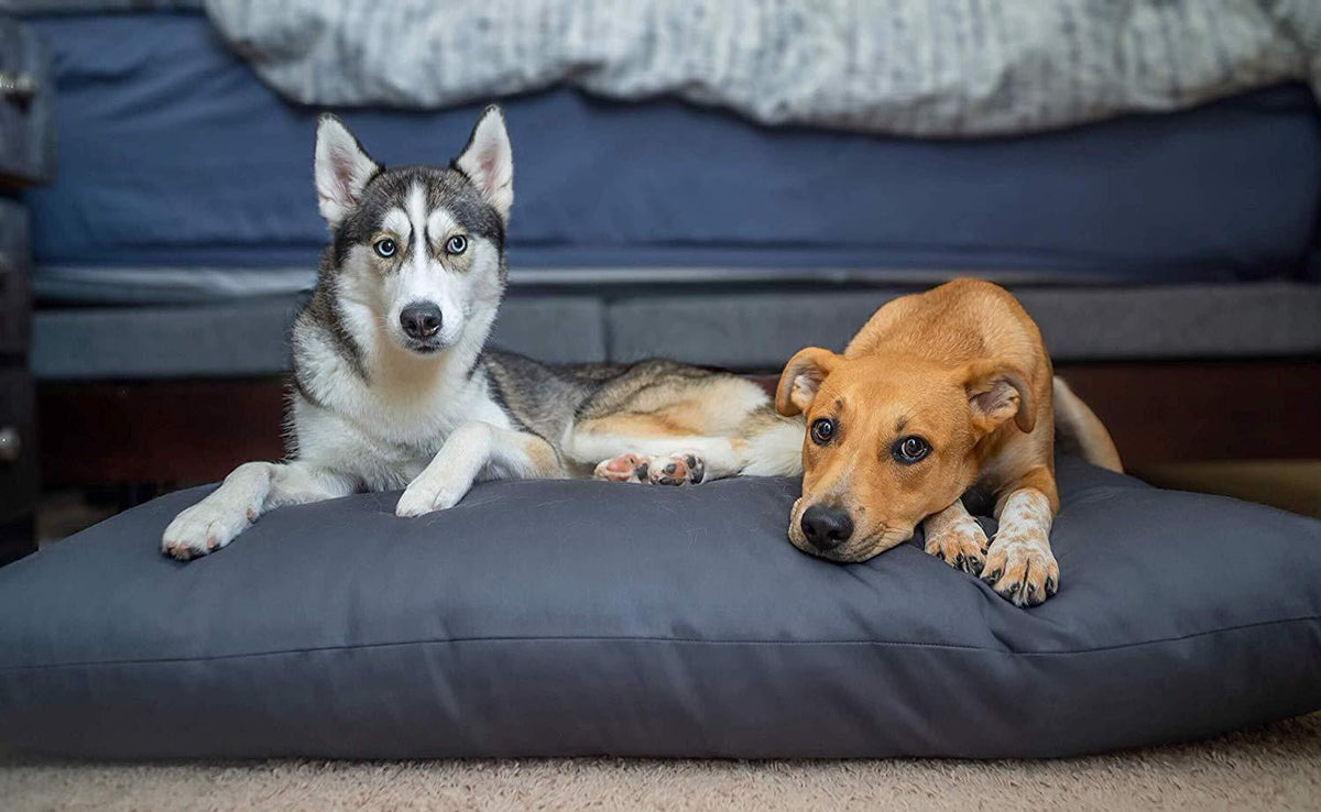 NaturoPet Natural Orthopedic Dog Bed, Premium Organic Cotton &amp; Virgin Wool Soft Cushion Pet Mattress Removable Washable Cover Indoor Durable Chew Resistant Made in USA