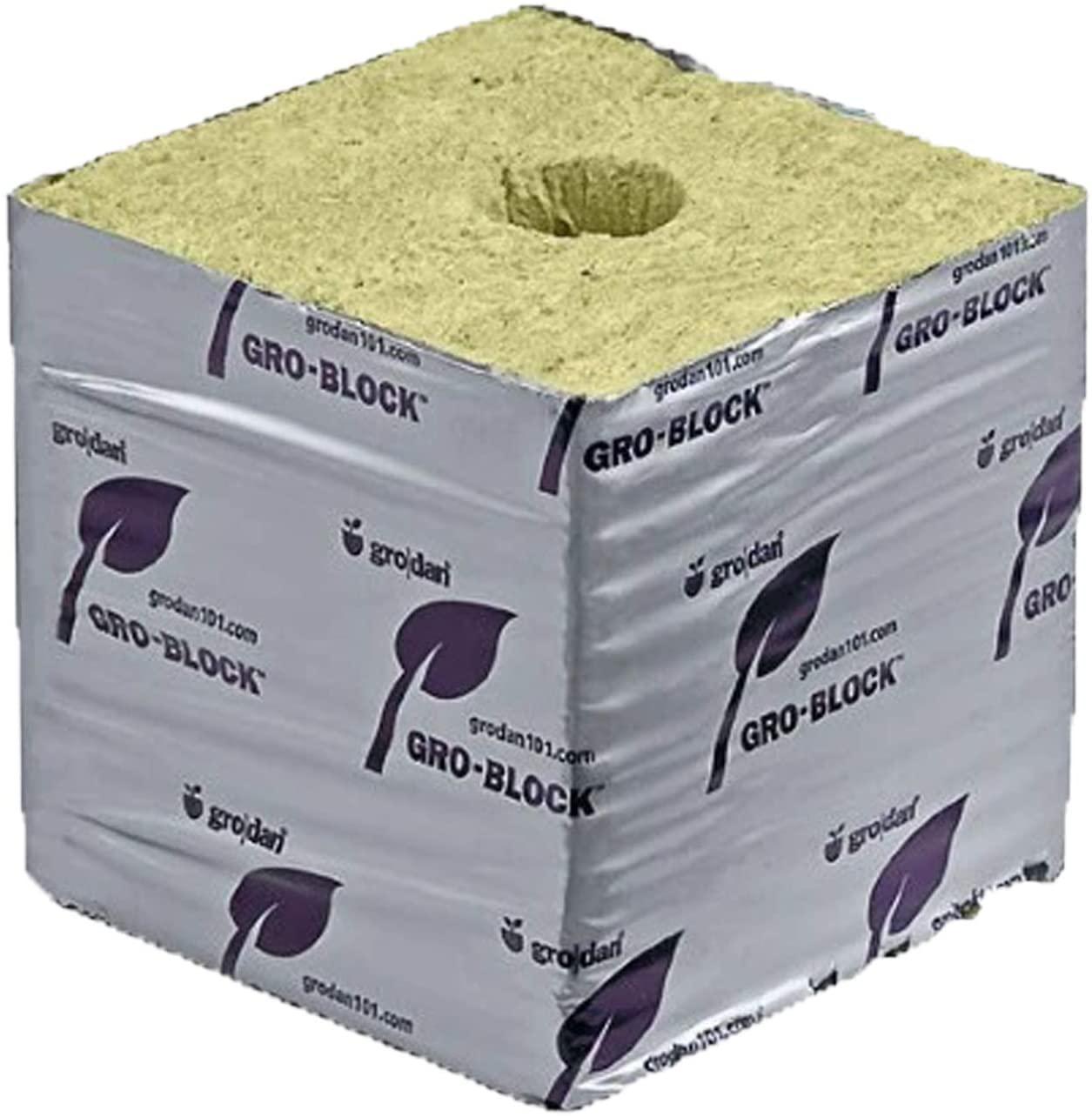 grodan hugo 6x6x6 hydroponics seed starting block (24)