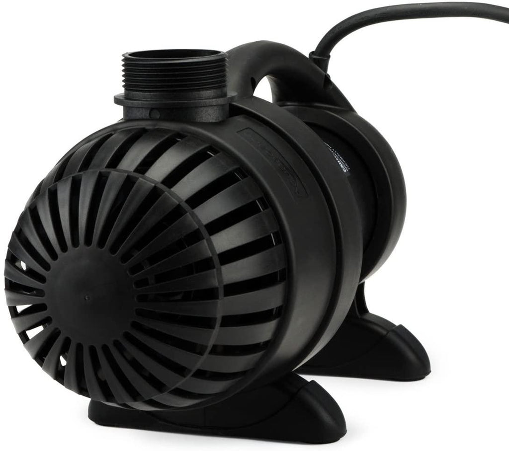 aquasurge 2000 pump