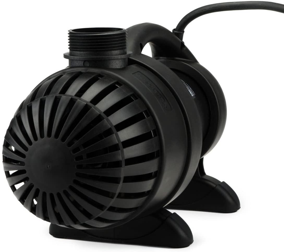 aquasurge 2000 pump