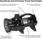 aquasurge 2000 pump