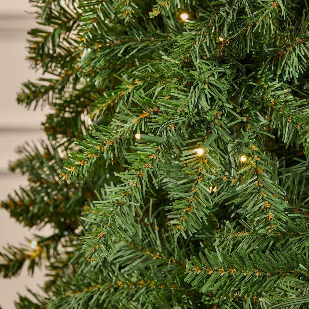 7.5 ft Maysville Pine Christmas Tree
