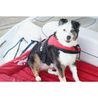 The Better Options Company Red Lazy Dog Pool Lounger and Lake Raft Floating River Swim Mat for Big Dogs Up to 110 Pounds, Large
