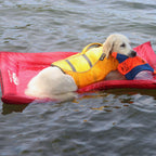 The Better Options Company Red Lazy Dog Pool Lounger and Lake Raft Floating River Swim Mat for Big Dogs Up to 110 Pounds, Large