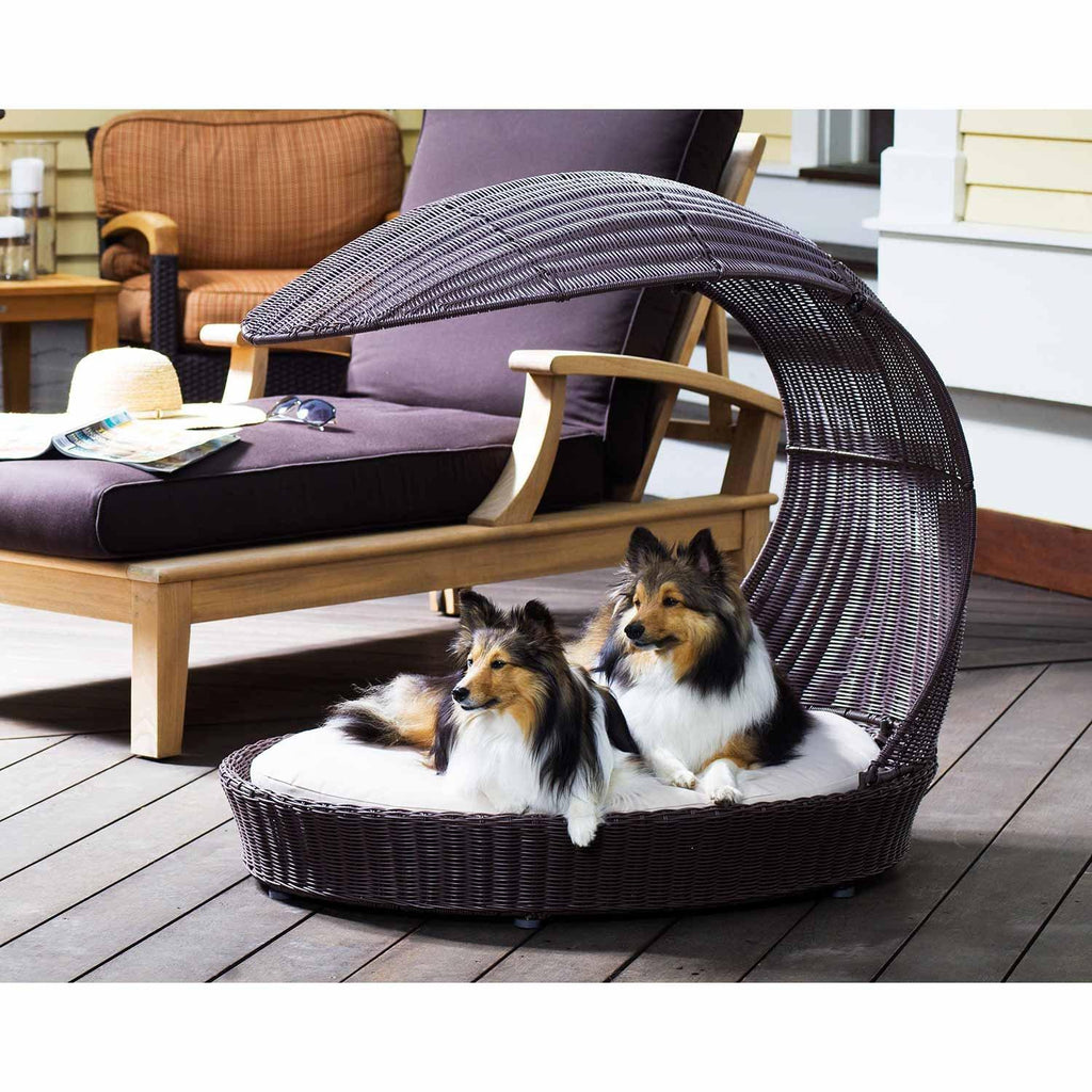 Outdoor Dog Chaise Bed n Espresso