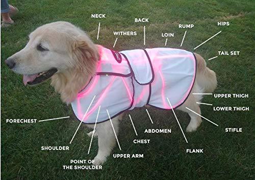 Spectra Therapy Wearable LASERwrap Dog Coat