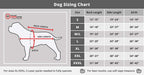 Spectra Therapy Wearable LASERwrap Dog Coat