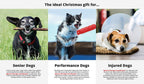 Spectra Therapy Wearable LASERwrap Dog Coat