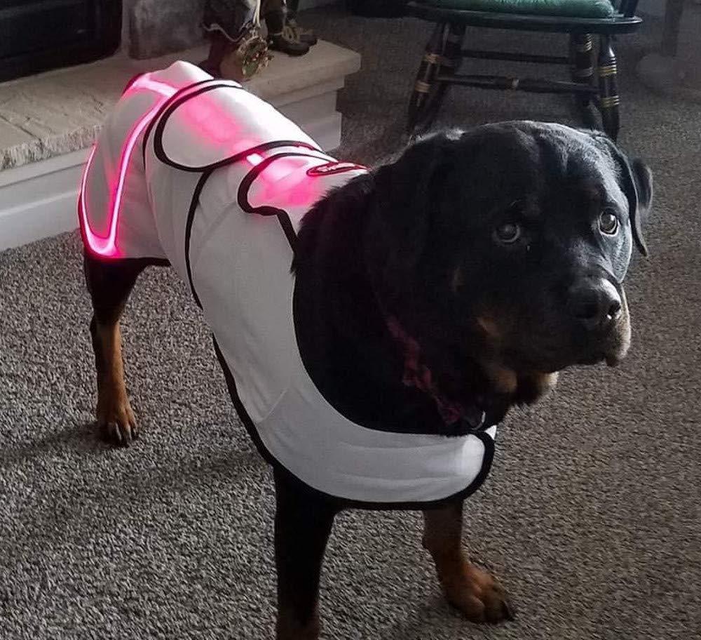 Spectra Therapy Wearable LASERwrap Dog Coat