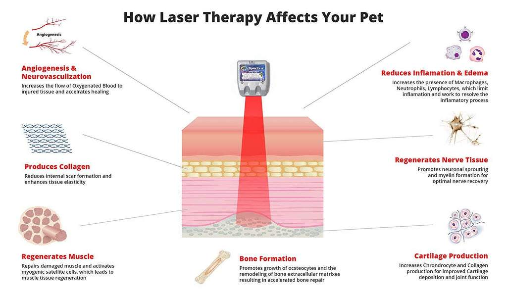 Spectra Therapy Wearable LASERwrap Dog Coat