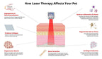Spectra Therapy Wearable LASERwrap Dog Coat