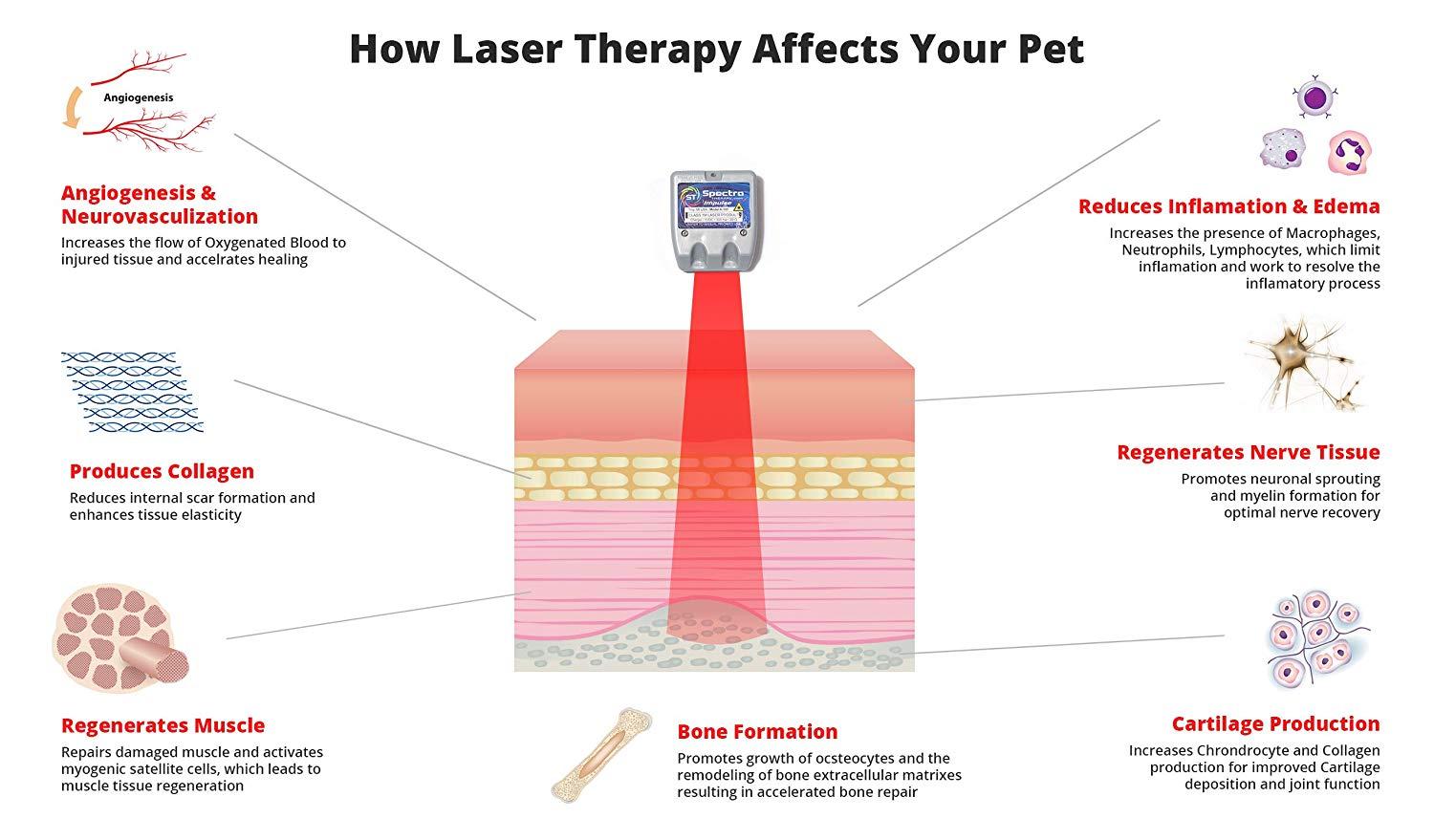Spectra Therapy Wearable LASERwrap Dog Coat