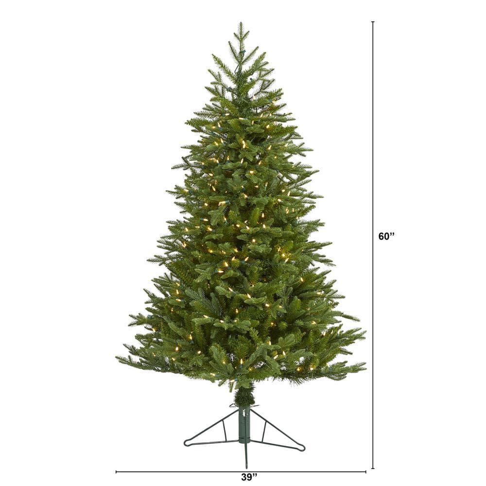 5 ft. Pre-lit Cambridge Fir Artificial Christmas Tree with 300 Clear Warm Multi-Function LED Lights
