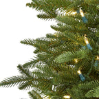 5 ft. Pre-lit Cambridge Fir Artificial Christmas Tree with 300 Clear Warm Multi-Function LED Lights