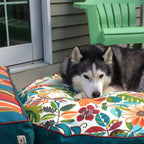 Snoozer Indoor Outdoor Round Dog Bed in Anchor Pattern