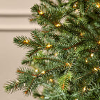 9 ft Elegant Grand Fir Christmas Tree