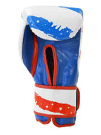Cleto Reyes Hook and Loop Leather Training Boxing Gloves - 14 oz. - USA