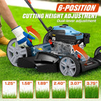 144 cc Gas Lawn Mower, 21 inch 2-in-1 Push with Mulching and Side Discharge, 4-Cycle Engine, 6 Position Cutting Height Adjustment for Yard and Garden