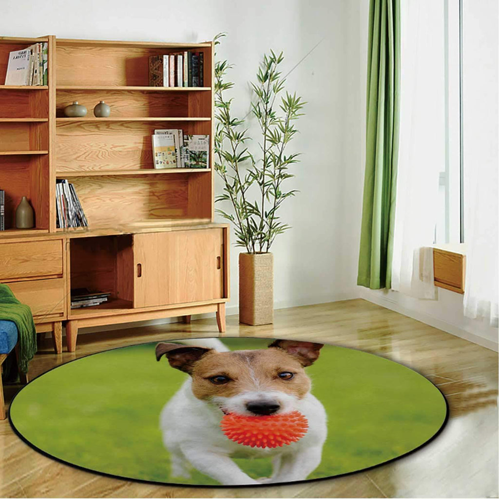 HitecClose up of Dog Running and Playing Fetch with OranBall Toy Pet Mat,053077 for Dogs and Cats,5'Round