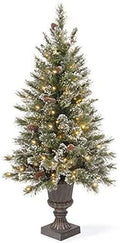 Joedot Clear Prelit Incandescent Green Fir Christmas Tree (Green, 30X30X60 (5'))