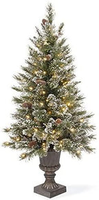 Joedot Clear Prelit Incandescent Green Fir Christmas Tree (Green, 30X30X60 (5'))