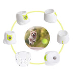 AZLZM Ball Launcher for Dogs Automatic Throw Ball Serve Ball Thrower Ball Machine