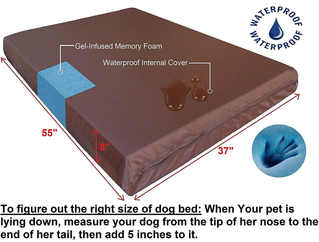 Dogbed4less Jumbo Extra LarOrthopedic Gel Infused Memory Foam Dog Bed with Washable External Zipper Cover and Waterproof Liner, 55X37X8 Inches
