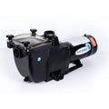 blue torrent 1hp typhoon in ground pool pump