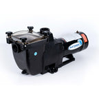 blue torrent 1hp typhoon in ground pool pump