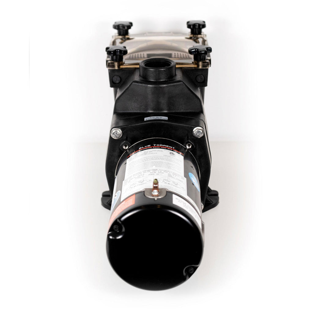 blue torrent 1hp typhoon in ground pool pump