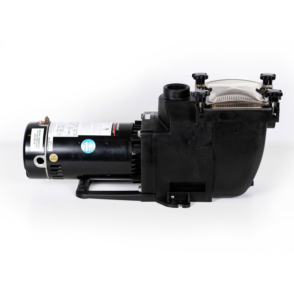 blue torrent 1hp typhoon in ground pool pump