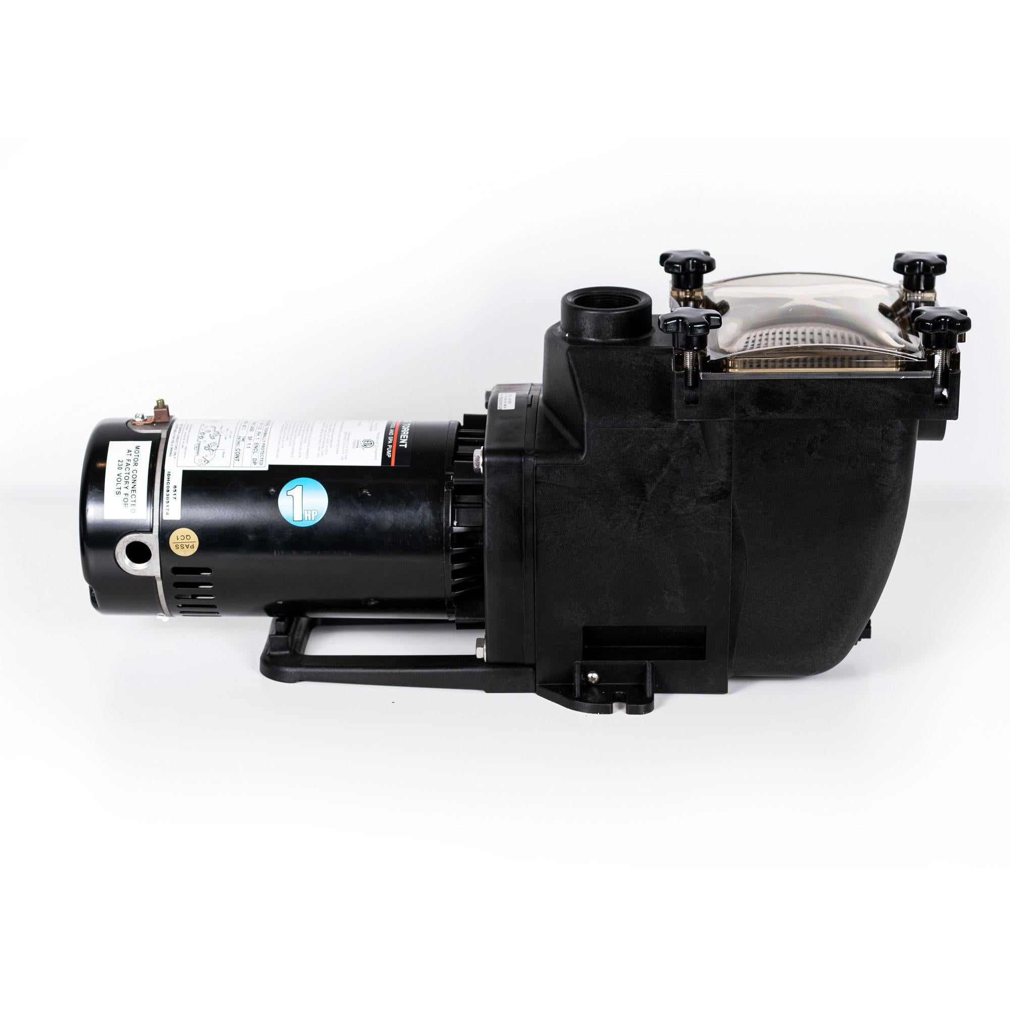 blue torrent 1hp typhoon in ground pool pump