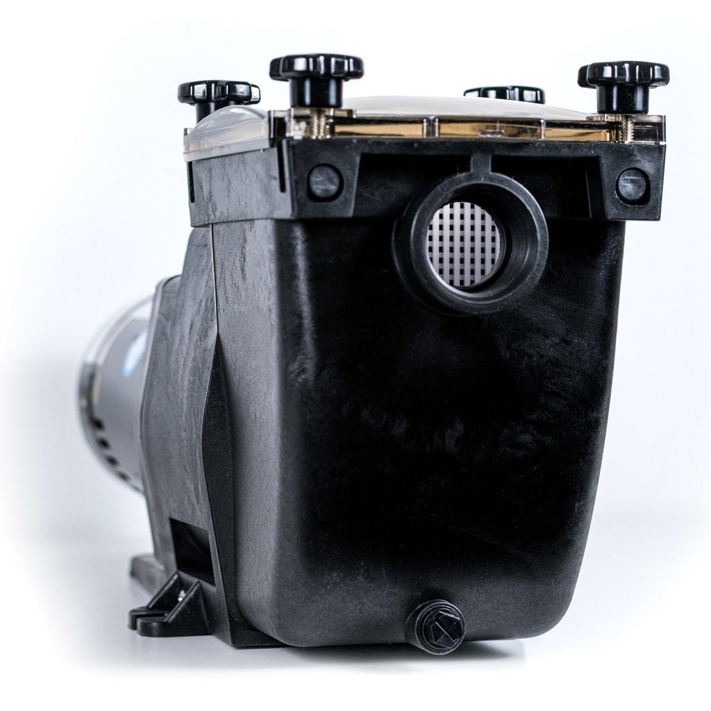 blue torrent 1hp typhoon in ground pool pump