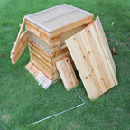 golden palace auto flow beehive 7pcs flow frame super box free flow frame (outer hive 7pcs flow frame set)