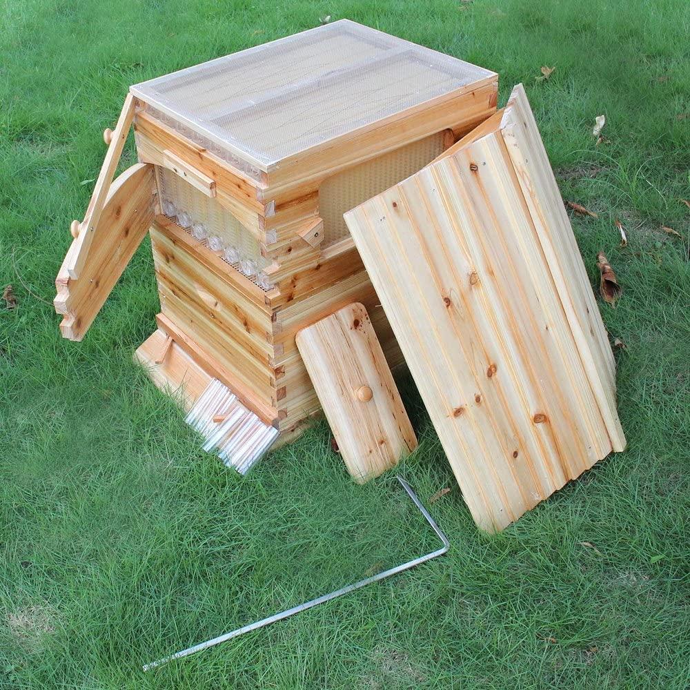 golden palace auto flow beehive 7pcs flow frame super box free flow frame (outer hive 7pcs flow frame set)